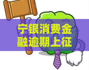 宁银消费金融逾期上吗会影响信用记录吗