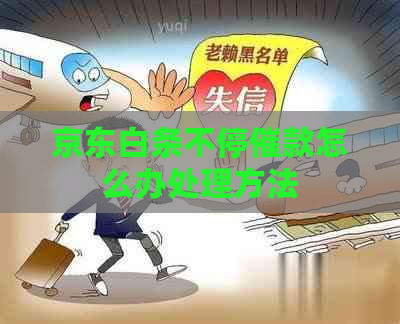 京东白条不停催款怎么办处理方法