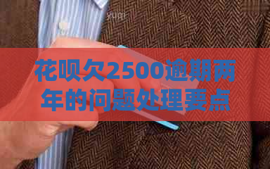 白条欠2500逾期两年的问题处理要点及条件