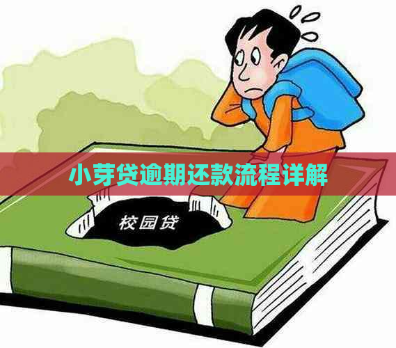 小芽贷逾期还款流程详解
