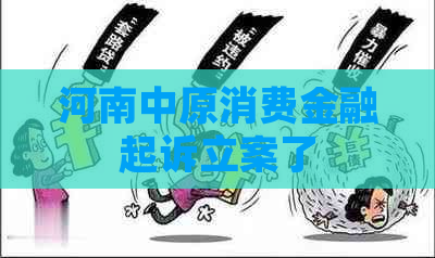 河南中原消费金融起诉立案了
