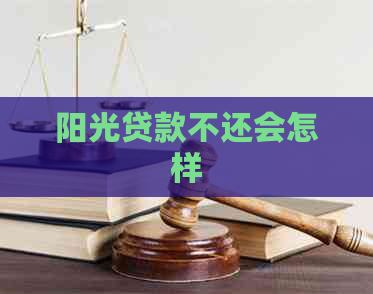 阳光贷款不还会怎样