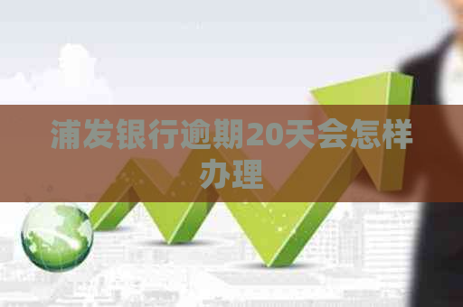 浦发银行逾期20天会怎样办理