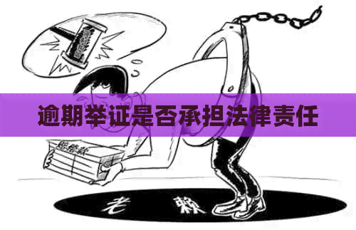 逾期举证是否承担法律责任
