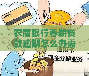农商银行春耕贷款逾期怎么办需要注意哪些问题