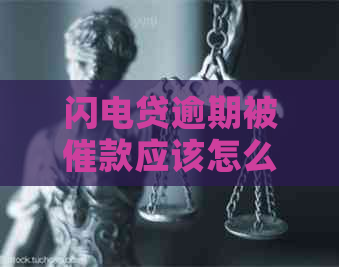 闪电贷逾期被催款应该怎么应对