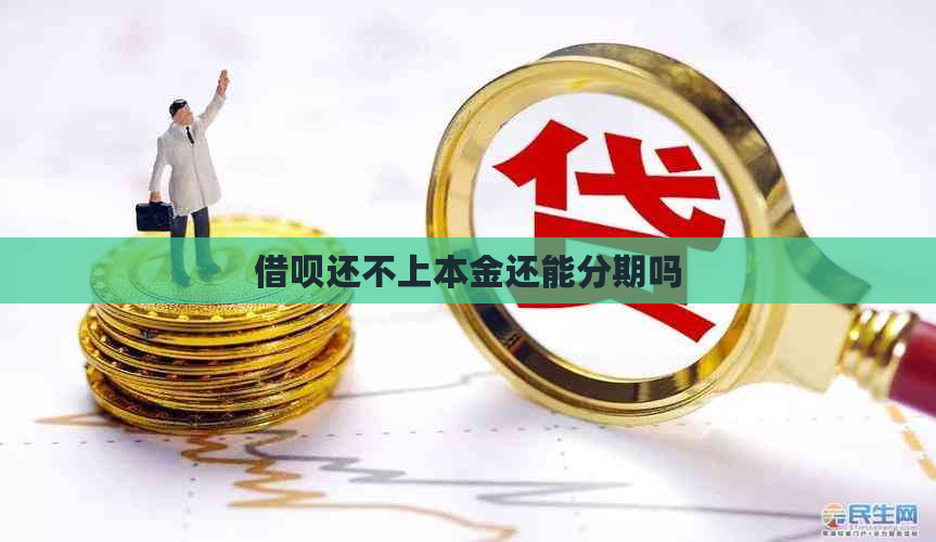 信用卡还不上本金还能分期吗