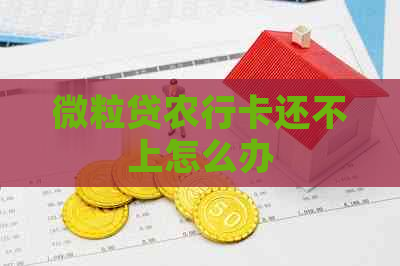 微粒贷农行卡还不上怎么办