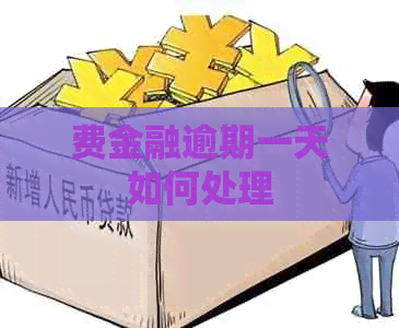 费金融逾期一天如何处理