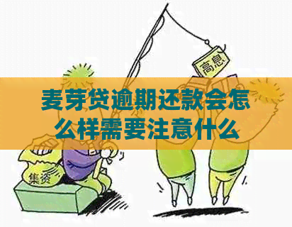 麦芽贷逾期还款会怎么样需要注意什么