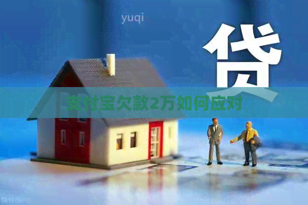 信用卡欠款2万如何应对