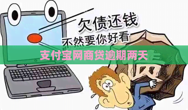 信用卡白条贷逾期两天