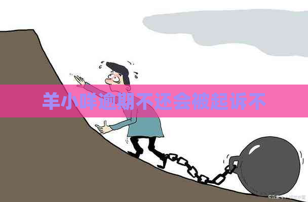 羊小咩逾期不还会被起诉不