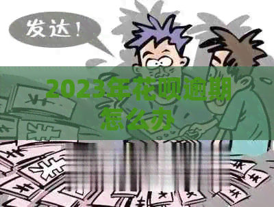 2023年白条逾期怎么办