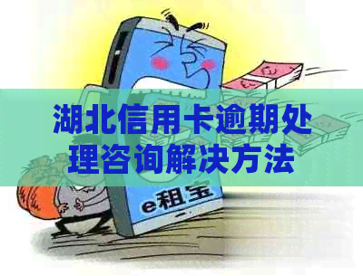 湖北信用卡逾期处理咨询解决方法