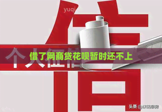 借了白条贷白条暂时还不上