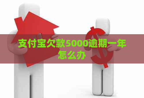 信用卡欠款5000逾期一年怎么办