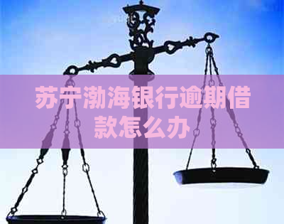 苏宁渤海银行逾期借款怎么办