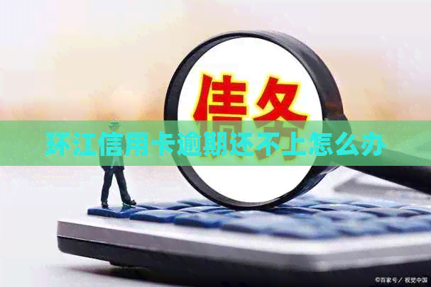 环江信用卡逾期还不上怎么办
