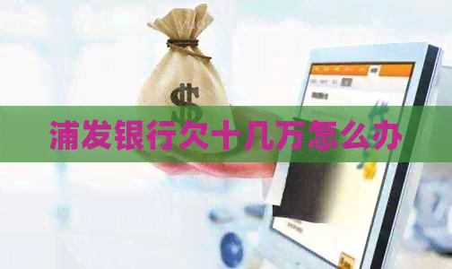 浦发银行欠十几万怎么办
