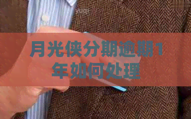 月光侠分期逾期1年如何处理