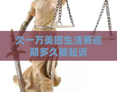 欠一万美团生活费逾期多久被起诉