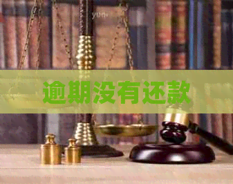逾期没有还款