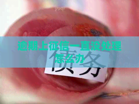 逾期上一直没处理怎么办