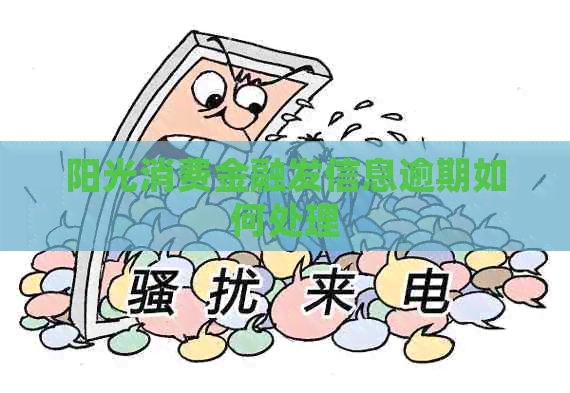 阳光消费金融发信息逾期如何处理