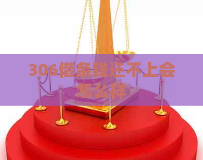 306借条钱还不上会怎么样