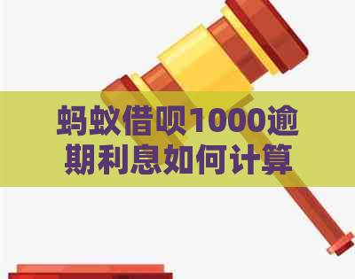 蚂蚁信用卡1000逾期利息如何计算