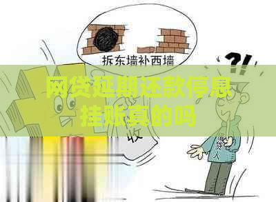 网贷延期还款停息挂账真的吗