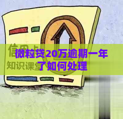 微粒贷20万逾期一年了如何处理