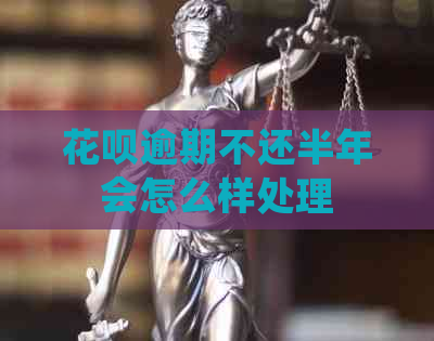 白条逾期不还半年会怎么样处理