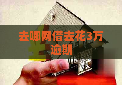 去哪网借去花3万逾期