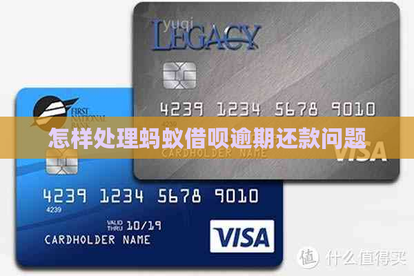 怎样处理蚂蚁信用卡逾期还款问题