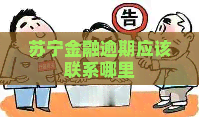 苏宁金融逾期应该联系哪里
