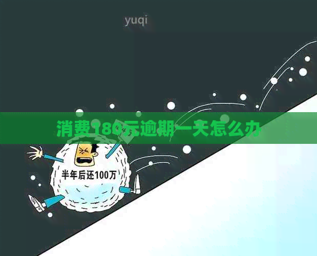 消费180元逾期一天怎么办