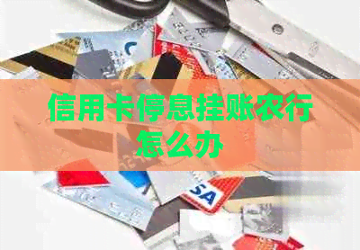 信用卡停息挂账农行怎么办