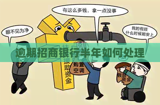 逾期招商银行半年如何处理
