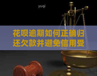白条逾期如何正确归还欠款并避免信用受损