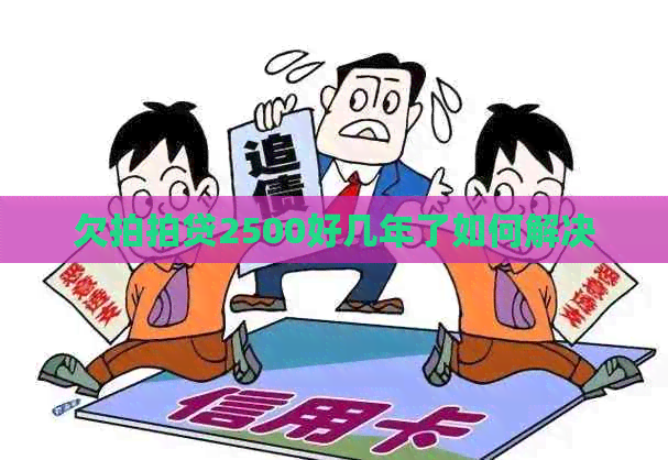 欠2500好几年了如何解决