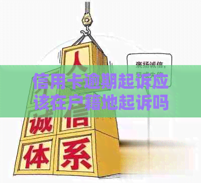 信用卡逾期起诉应该在户籍地起诉吗