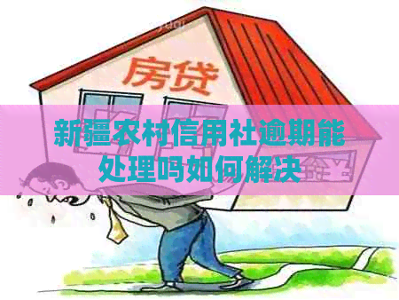 新疆农村信用社逾期能处理吗如何解决