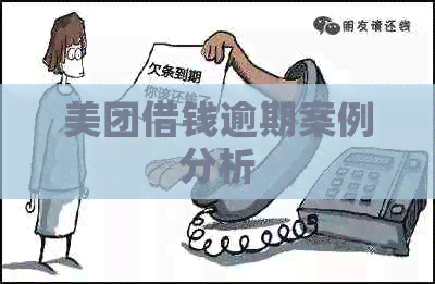 美团借钱逾期案例分析