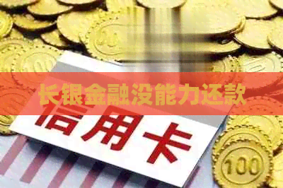 长银金融没能力还款