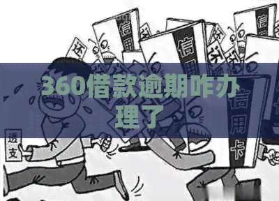 360借款逾期咋办理了
