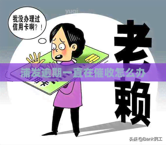 浦发逾期一直在怎么办