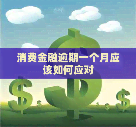 消费金融逾期一个月应该如何应对
