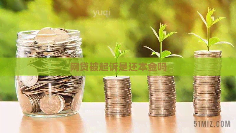 网贷被起诉是还本金吗